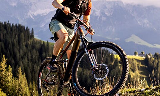 دوچرخه فروشی علی بایک شعبه 1